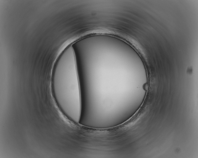X0000091570845200708200949