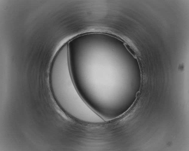 X0000091570846200708200949