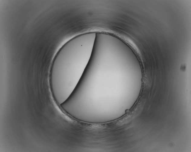X0000091570847200708200949