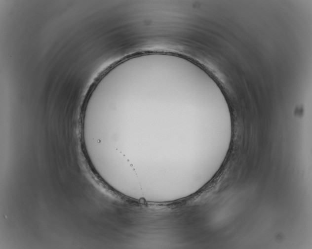 X0000091570848200708200949