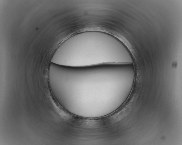 X0000091570849200708200949