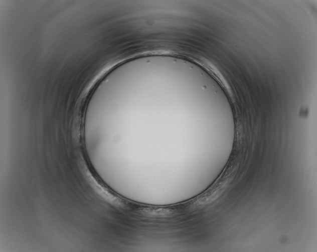 X0000091570851200708200949