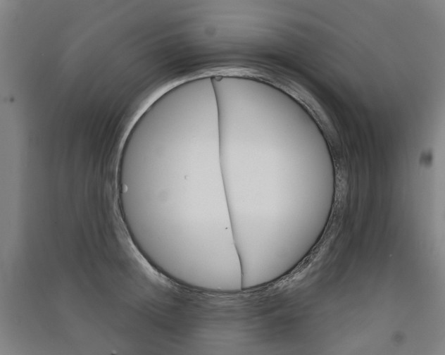 X0000091570852200708200949