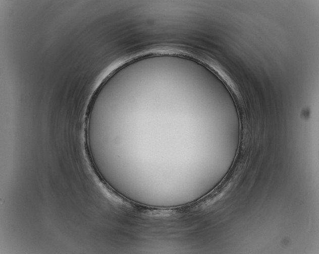 X0000091570853200708200949