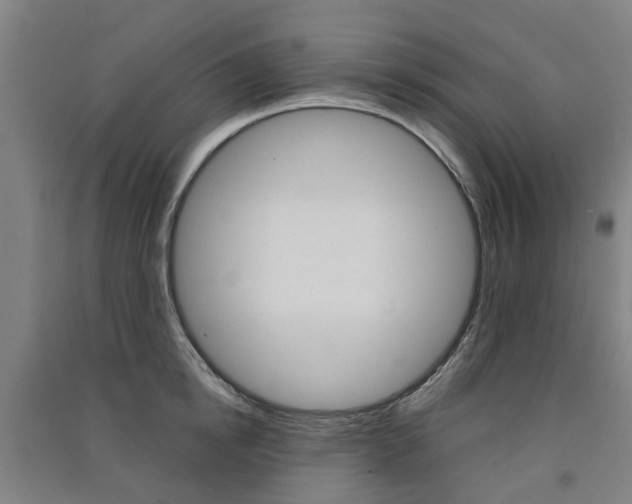 X0000091570854200708200949