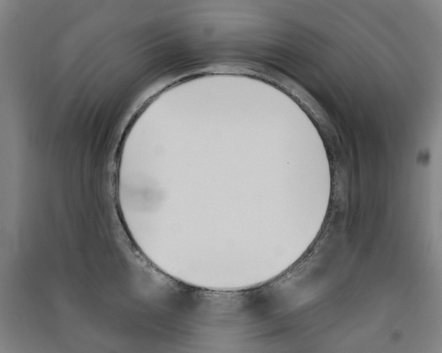 X0000091570856200708200949