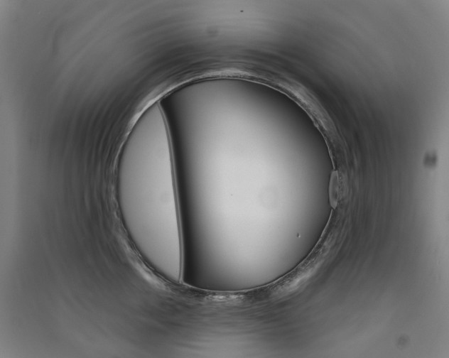 X0000091570858200708200949