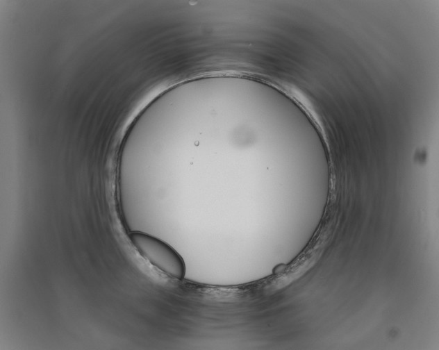 X0000091570859200708200949
