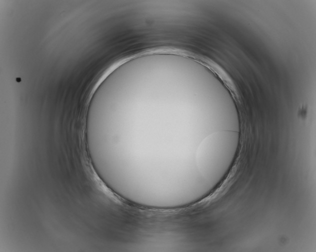 X0000091570860200708200949