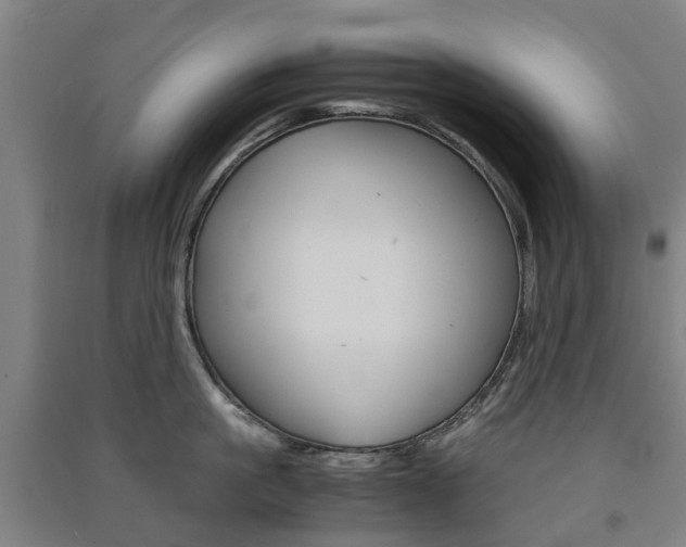 X0000091570861200708200949
