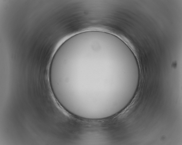 X0000091570862200708200949