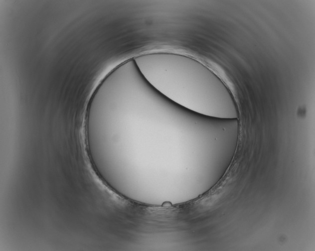 X0000091570863200708200949