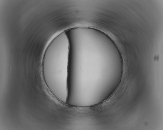 X0000091570864200708200949