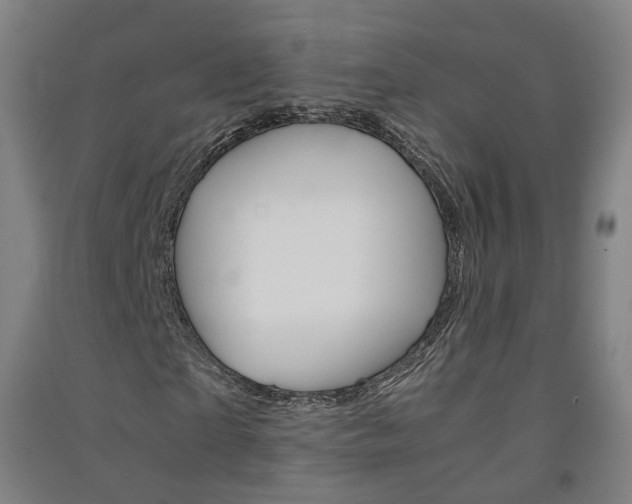 X0000091570865200708200949