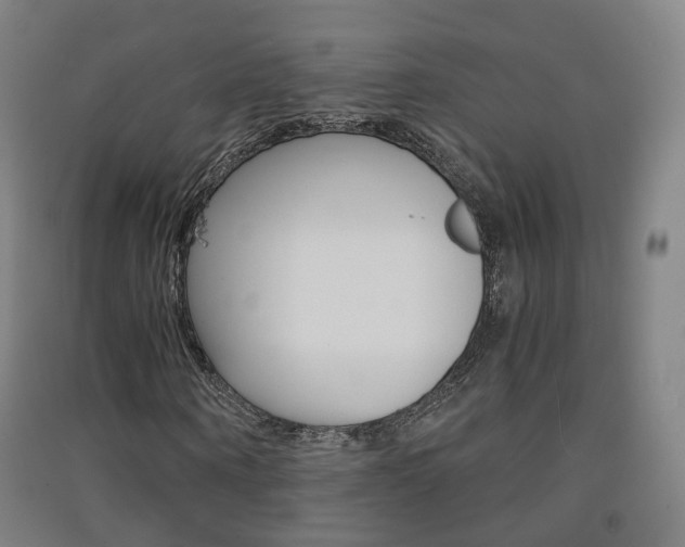 X0000091570866200708200949