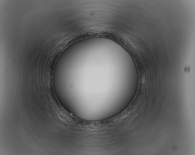 X0000091570868200708200949