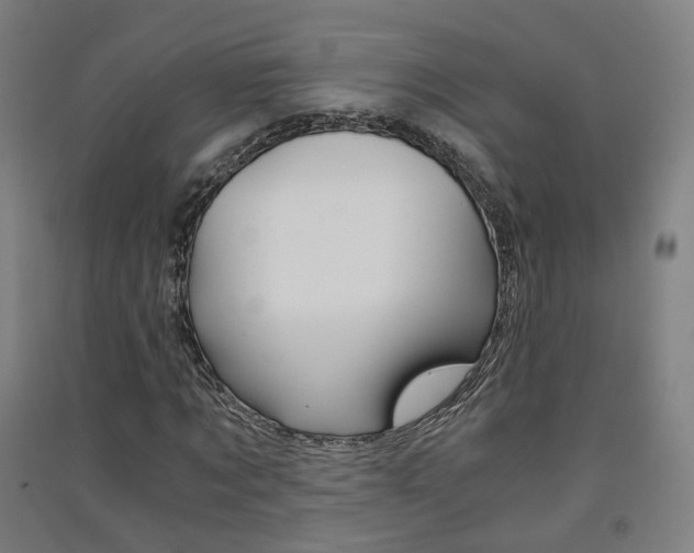 X0000091570869200708200949
