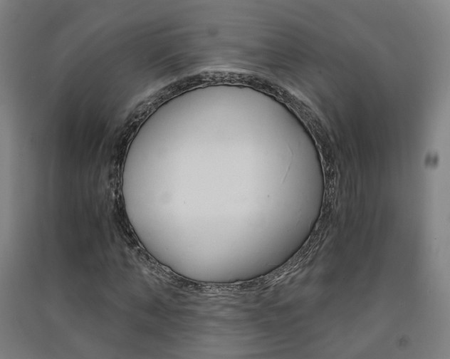 X0000091570870200708200949