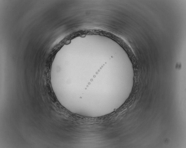 X0000091570871200708200949