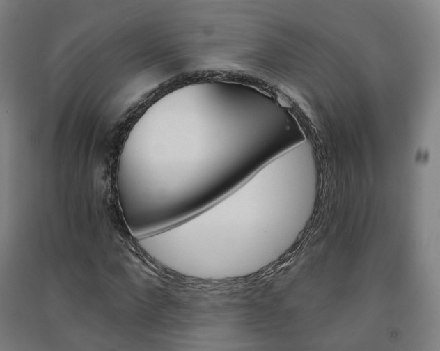 X0000091570872200708200949