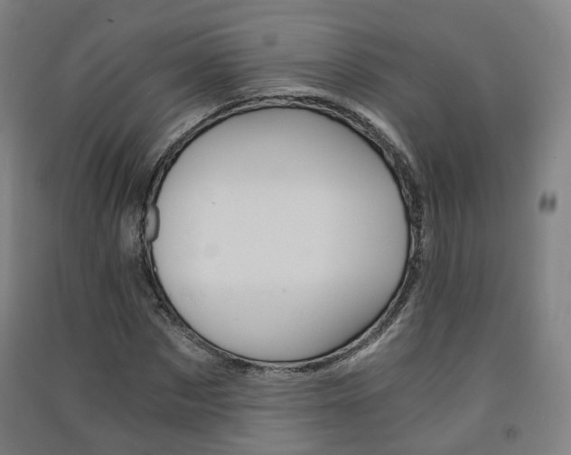 X0000091570873200708200949