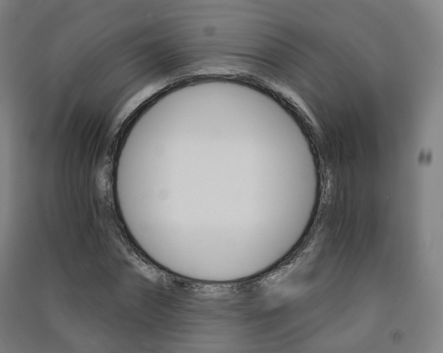 X0000091570874200708200949