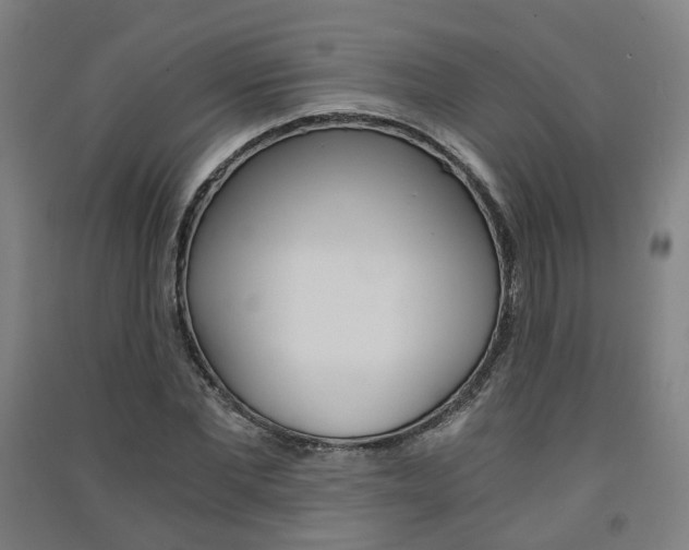 X0000091570877200708200949