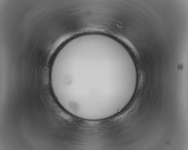 X0000091570878200708200949