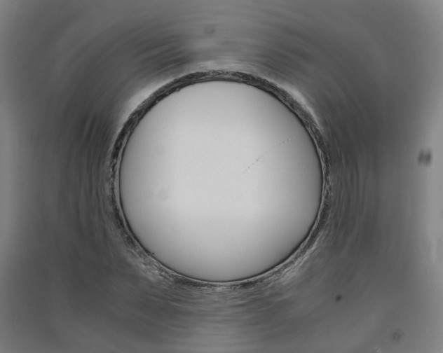 X0000091570879200708200949