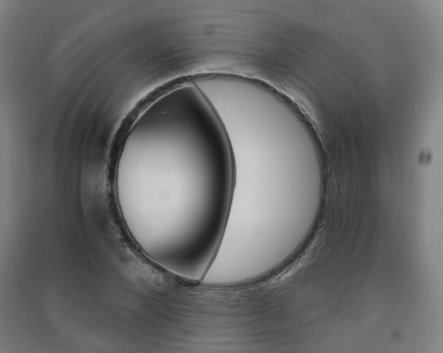 X0000091570880200708200949