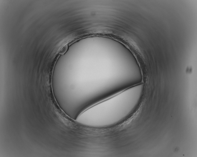 X0000091570881200708200949