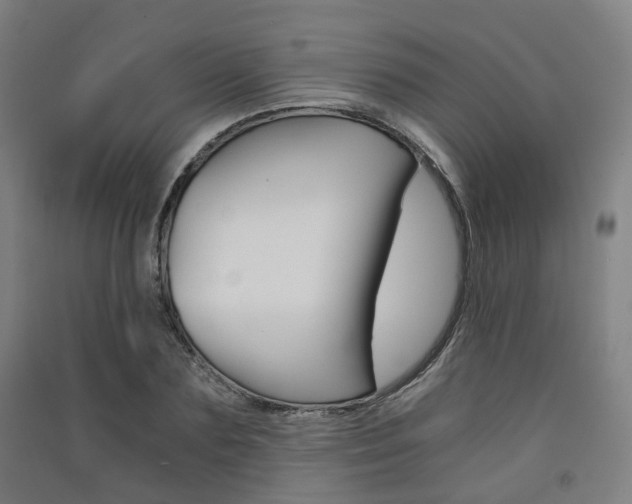 X0000091570883200708200949