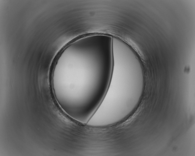 X0000091570884200708200949