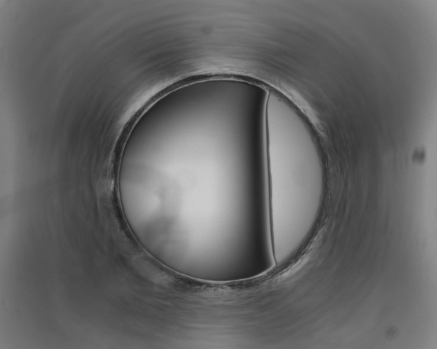X0000091570885200708200949