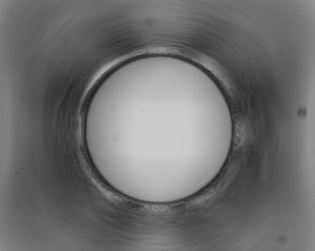 X0000091570886200708200949