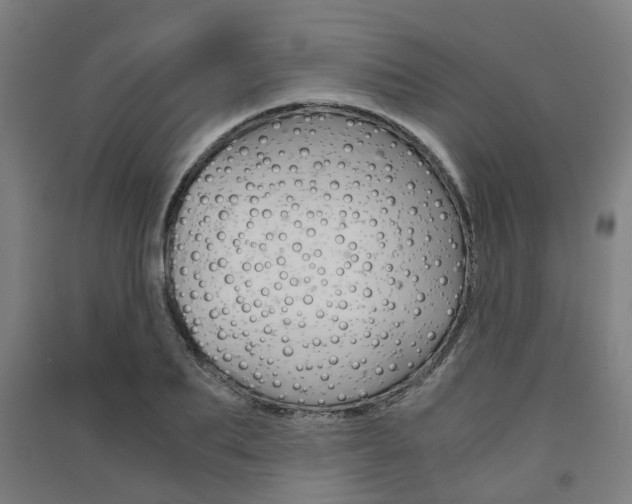 X0000091570887200708200949
