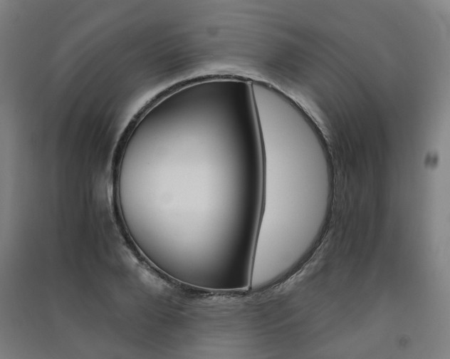 X0000091570888200708200948
