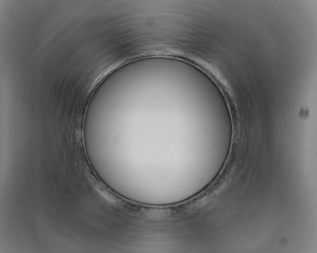 X0000091570889200708200948