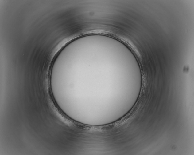 X0000091570890200708200948