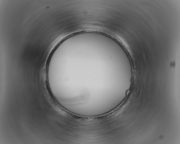 X0000091570891200708200948