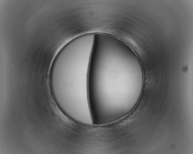 X0000091570892200708200948