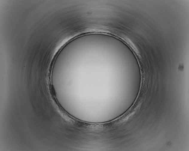 X0000091570893200708200948