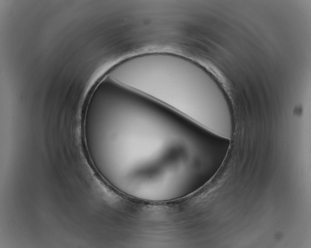X0000091570894200708200948