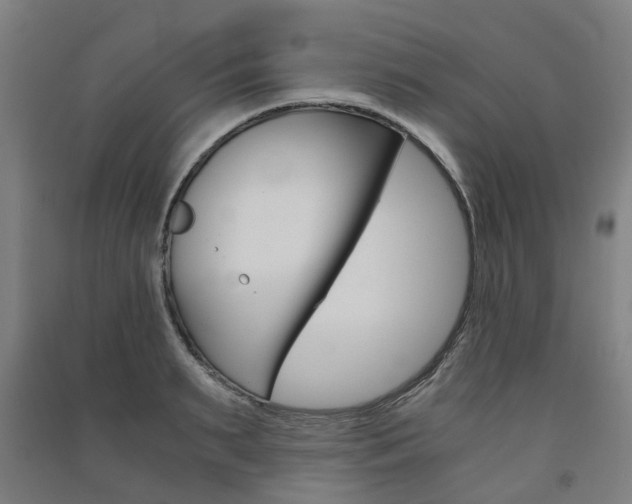 X0000091570895200708200948