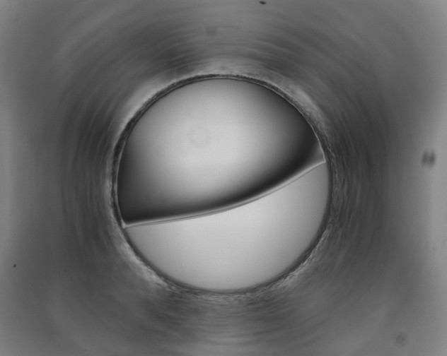 X0000091570896200708200948