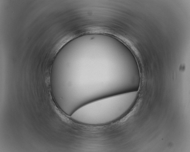 X0000091570897200708200948