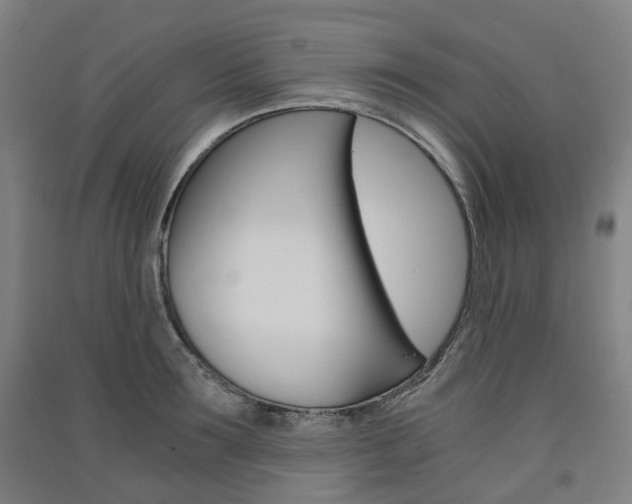 X0000091570899200708200948
