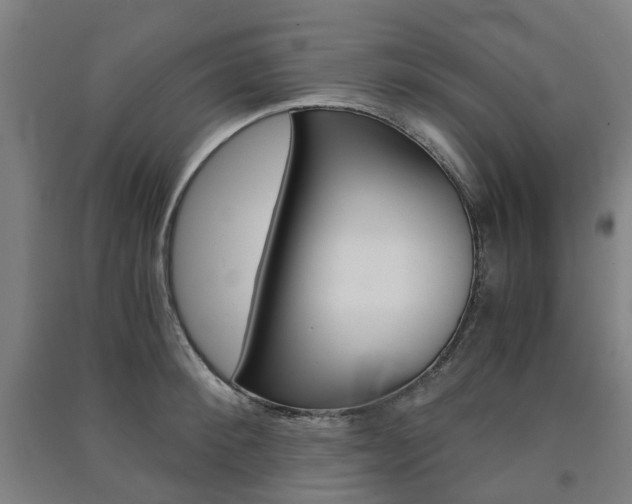 X0000091570900200708200948