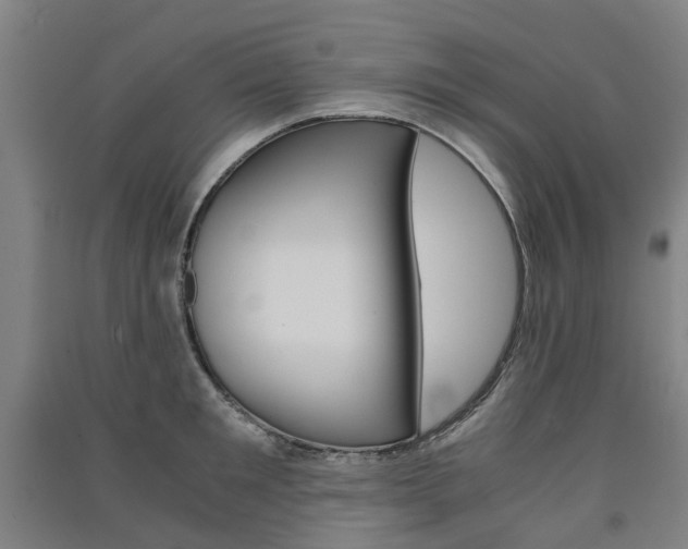 X0000091570901200708200948