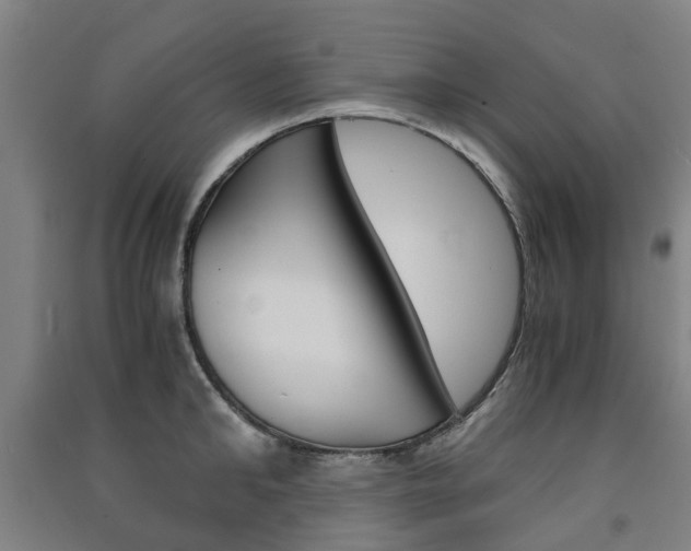 X0000091570902200708200948